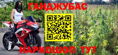 гашик Балахна