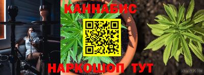 гашик Балахна