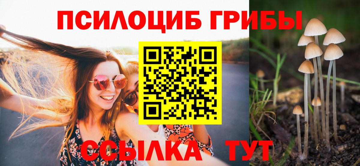 Дербент  Галлюциногенные грибы прущие грибы  Вход с VPN  Псилоцибиновые грибы Psilocybine cubensis 