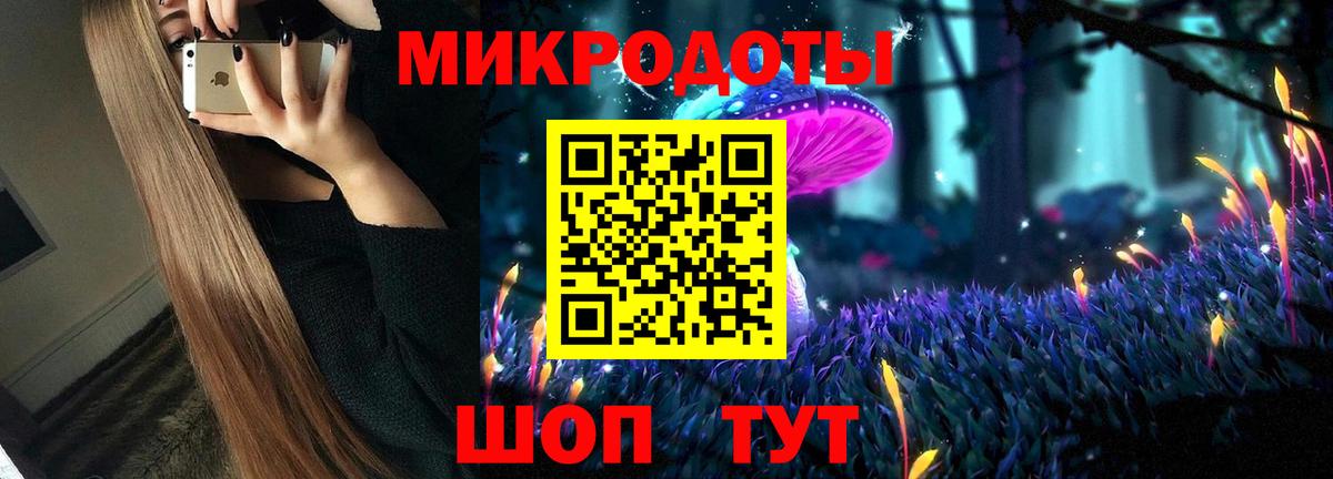 Галлюциногенные грибы Psilocybe Дербент